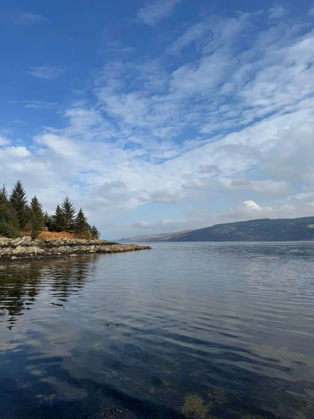 Tree-lined shoreline of Loch Fyne